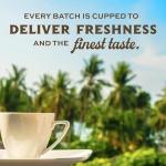 Lion Coffee 24K Gold Roast Kona Ground Coffee