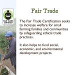 Organic Peru Water-Processed Decaf Coffee - 5 Pounds