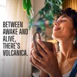 Tanzania Peaberry Coffee from Mount Kilimanjaro, 5 lbs