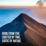 Tanzania Peaberry Coffee from Mount Kilimanjaro, 5 lbs