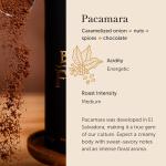 El Salvador Pacamara Honey Ground Coffee - Medium Roast