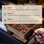 El Salvador Pacamara Honey Ground Coffee - Medium Roast