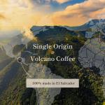 El Salvador Pacamara Honey Ground Coffee - Medium Roast