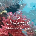 Sulawesi Kalossi Whole Bean Coffee, Fresh Roasted