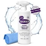 Instant Carpet Spot Remover with Cleaning Cloth