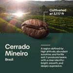 Brazilian Mindfully Coffee Beans - 100% Arabica 8.8oz