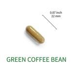 Lovita High-Potency Green Coffee Extract 1600 mg
