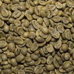 Organic Colombian Coffee Beans - Fresh Roasted 5 Pound