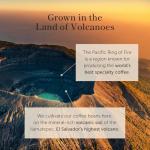 Bean of Fire Gourmet Ground Coffee Variety Box