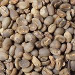 Organic Sumatra Fresh Roasted Coffee - 5 Pound