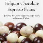 Gourmet Belgian Chocolate Espresso Beans Gift Box