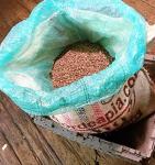 Colombian Green Coffee Beans - 10 Lb Bag