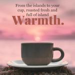 Hawaiian Isles Chocolate Macadamia Light Roast Coffee