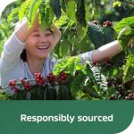 Nescafe Clasico Decaf Coffee, 7 Ounce Jar