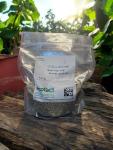 Ahuachapan Green Unroasted Coffee Beans - 5 lb