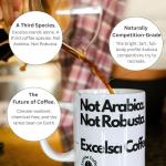 Excelsa Coffee Beans – Unroasted, Bright Flavor