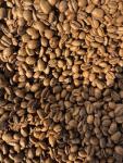 Excelsa Coffee Beans – Unroasted, Bright Flavor