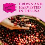 Marylou's Hawaiian Chocolate Nut Gourmet Coffee Pods