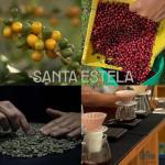Peru Green Unroasted Coffee Beans - Finca Santa Estela