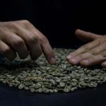 Peru Green Unroasted Coffee Beans - Finca Santa Estela