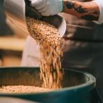 Hawaiian Kona Extra Fancy Dark Roast Coffee Beans