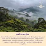 Colombian Supremo Unroasted Coffee Beans, 5 Pounds