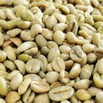 Ethiopian Yirgacheffe Green Coffee Beans - 8-64 oz