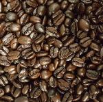 Sumatra Dark Roast Gourmet Coffee Beans - 32oz