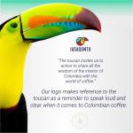 Premium Colombian Green Coffee Beans - 17.6 oz