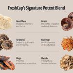 Organic Mushroom Coffee for Focus and Energy