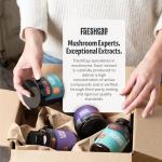 Organic Mushroom Coffee for Focus and Energy