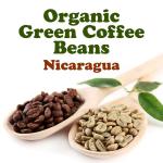 Organic Nicaragua Arabica Green Coffee Beans, 12 Ounces