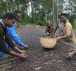 Revocup Dark Roast Whole Bean Coffee 12oz – Bold Strong Coffee with Smoky Aroma, Low Acidity, Baker’s Chocolate, Roasted Nut & Dried Fruit Notes – Premium Fresh Gourmet Arabica