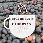 Revocup Dark Roast Whole Bean Coffee 12oz – Bold Strong Coffee with Smoky Aroma, Low Acidity, Baker’s Chocolate, Roasted Nut & Dried Fruit Notes – Premium Fresh Gourmet Arabica