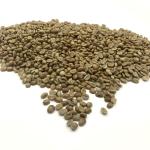 Honduras Organic Red Honey Green Coffee Beans 5lb