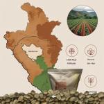 Honduras Organic Red Honey Green Coffee Beans 5lb