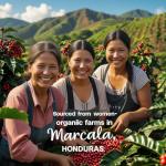 Honduras Organic Red Honey Green Coffee Beans 5lb