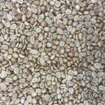 Honduras Organic Red Honey Green Coffee Beans 5lb