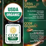 Vanilla Cinnamon Spice Medium Roast Whole Bean Coffee