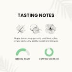 Guatemala Whole Bean Medium Roast Coffee 12oz