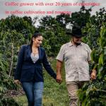 Volcanoking 100% Kona Medium Dark Roast Coffee