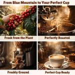 100% Jamaican Blue Mountain Ground Coffee – 8oz