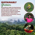 Java Planet Organic Half Caff Peru Coffee Beans