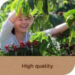 NESCAFÉ Taster's Choice Dark Roast Instant Coffee