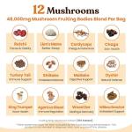 Mushroom Coffee: 12 Adaptogenic Blends for Focus