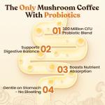 Mushroom Coffee: 12 Adaptogenic Blends for Focus