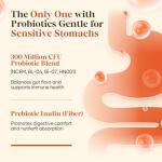 Fidus 16-in-1 Adaptogenic Mushroom Coffee Blend