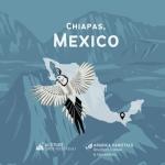 Chiapas Mexico Light Roast Coffee - Whole Bean Ground