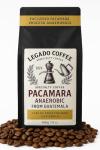 Pacamara Specialty Coffee from Guatemala, Whole Bean