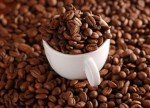 Pumpkin Spice Gourmet Arabica Coffee - 5 Pounds